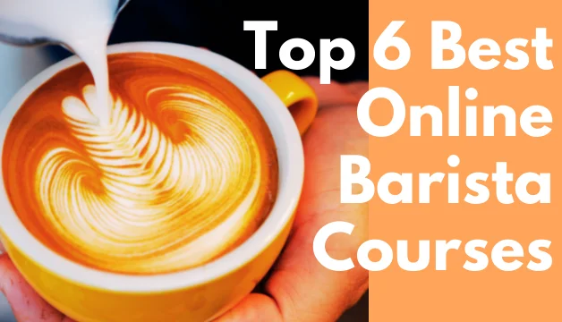 Best Online Barista Courses with Certificate