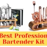Best Bartender Kit for Professional Bartenders