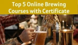 Online Beer Brewing Courses with Certificate