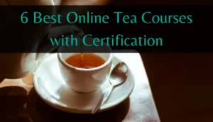 Best Tea Courses Online with Certification